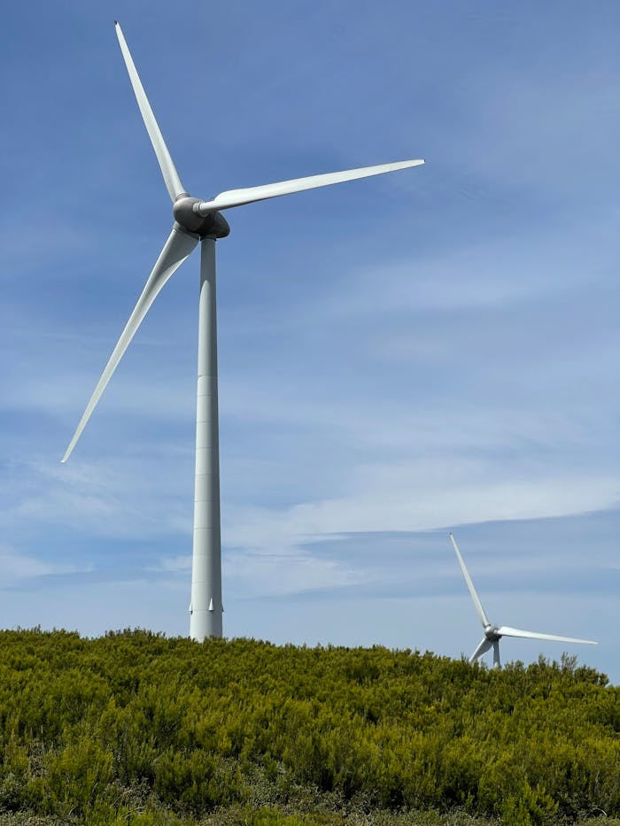 Two wind turbines towering over green vegetation under a clear blue sky.